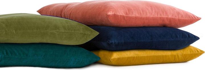 Actual product image La Redoute Interieurs Velvet (120 x 60 cm)