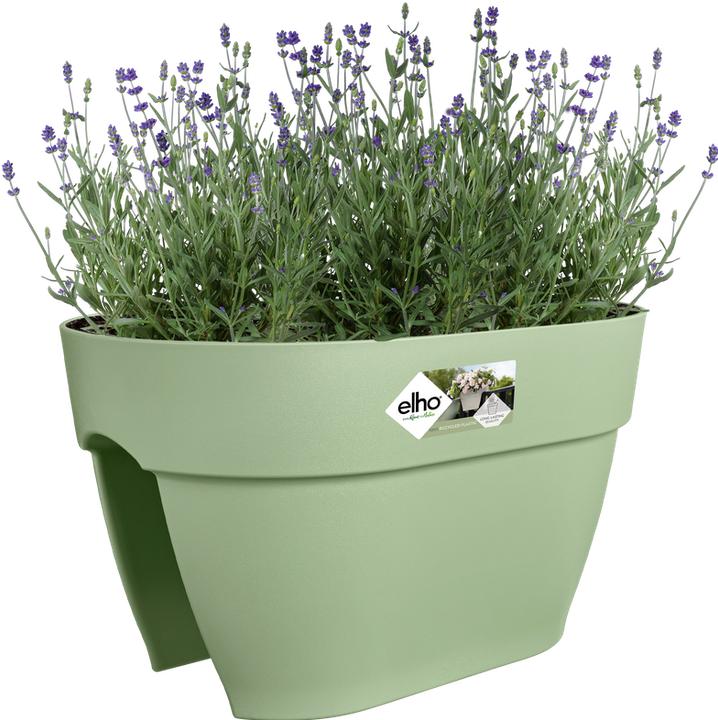 Produktbild Elho Vibia Campana Flower Bridge (26 cm)