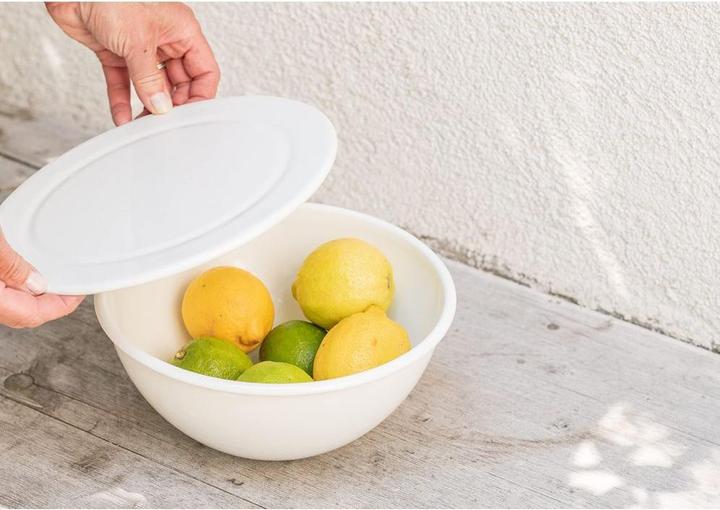 Actual product image Riess Replacement lid (30 cm, 1x)