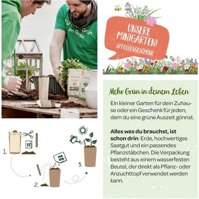Produktbild Die Stadtgärtner Minigarten (Kräutersamen)