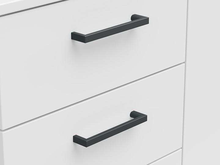 Image du produit Lipo Cabinet (120 x 40 x 83 cm)