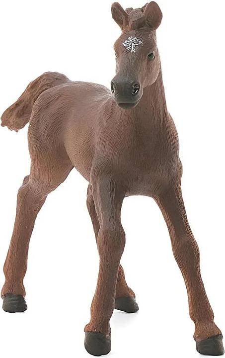 Produktbild Schleich Englisches Vollblut Fohlen