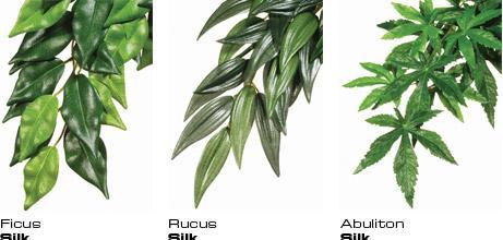 Produktbild Exo Terra Jungle Plant Abutilon M