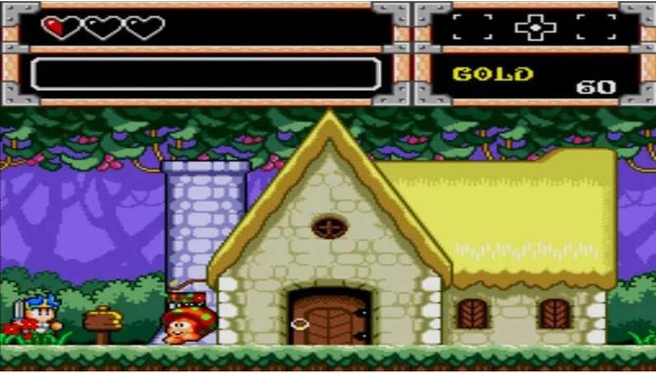 Actual product image ININ Games Wonder Boy Collection (Switch Lite, Switch OLED, Switch, DE)