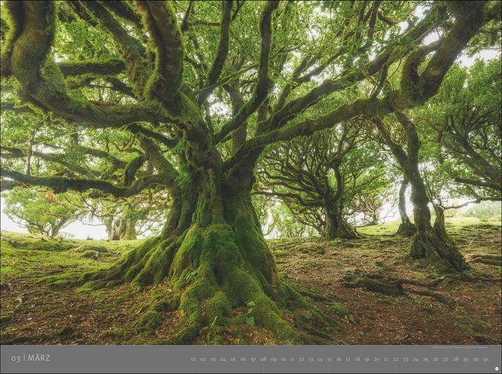 Produktbild Die letzten Paradiese - Edition Alexander von Humboldt Kalender 2026 (78 x 58 cm, Harter Einband, Deutsch)