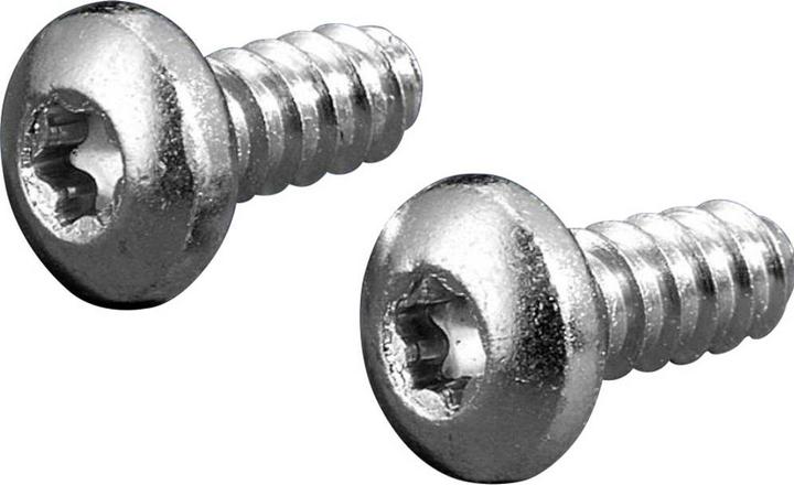 Immagine prodotto Rittal Vite per lamiera