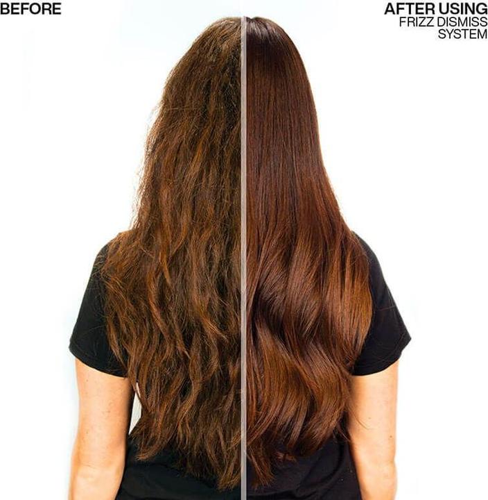 Produktbild Redken Frizz Dismiss Rebel Tame (250 ml)