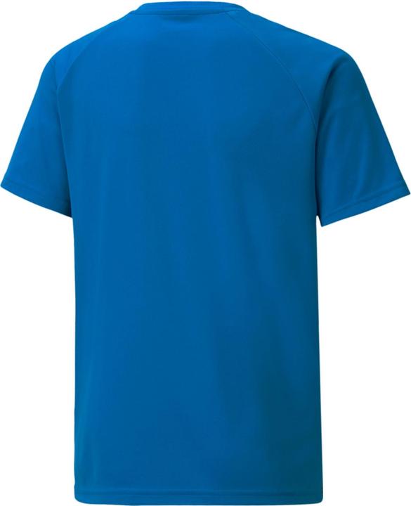Immagine prodotto Puma maglia a righe teamLIGA Jr-704927 (164)
