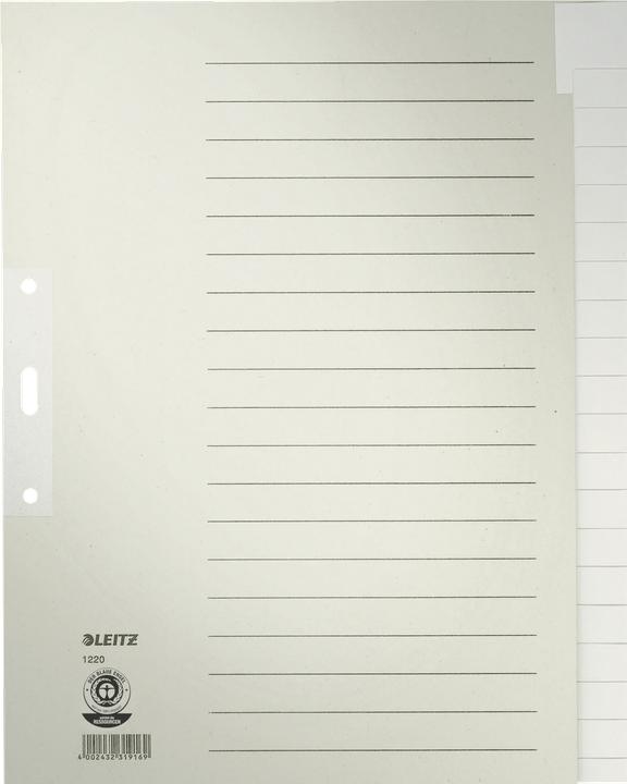 Actual product image Leitz Register paper gray