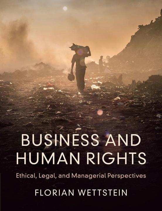 Actual product image Business and Human Rights (English, Florian Wettstein, 2022)