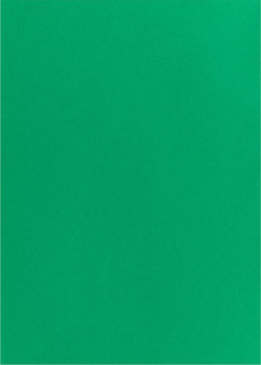 Produktbild I Am Creative Tonpapier 50 x 70 Tannengrün (120 g/m², 10x)