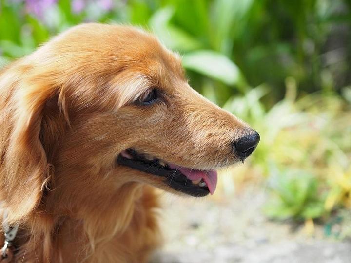 Immagine prodotto Olympus ED 25mm f/1,8 (Micro Four Thirds, Micro Four Thirds)