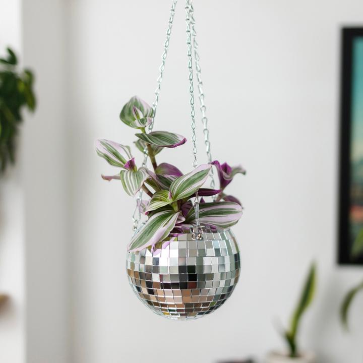 Image du produit Mags Fleurs disco