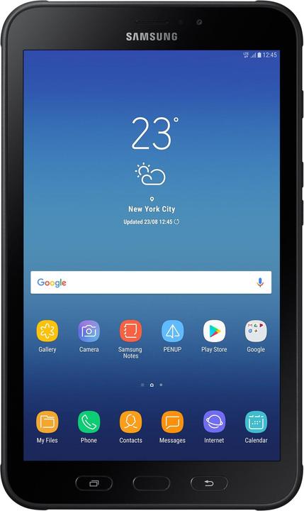Samsung Galaxy Tab Active2 (4G, 8", 16 GB, Schwarz)