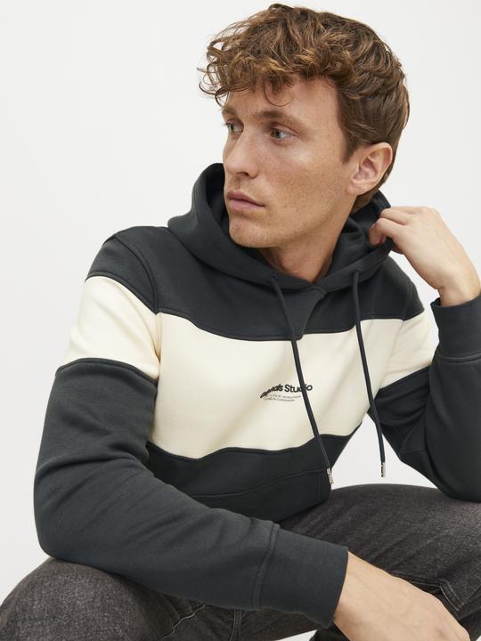 Actual product image Jack & Jones Jorvesterbro Block Sweat Hood Styd Aw24 (S)