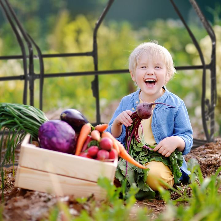 Produktbild Relaxdays Folienfrühbeet
