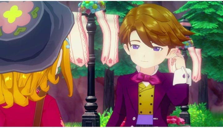 Actual product image Marvelous Story of Seasons: Grand Bazaar (Limited Edition) (Switch)