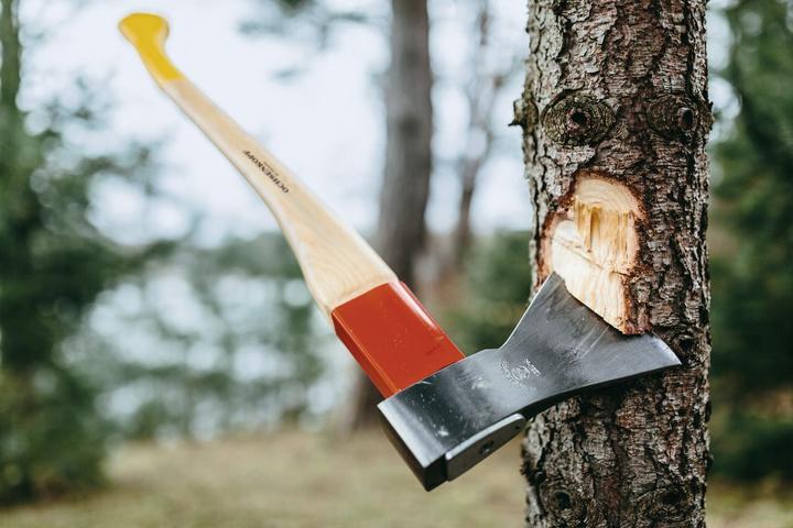 Image du produit Ochsenkopf OX 620 H-1257 Hache-forêt universelle en or ROTBAND-PLUS 1250 g