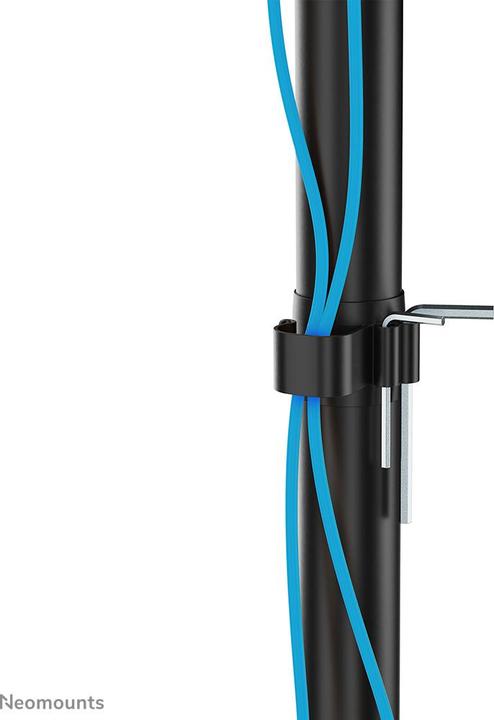 Actual product image Neomounts Table mount (Table, 32", 16 kg)