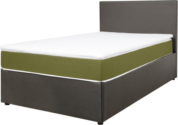 Gris brun, Jaune olive