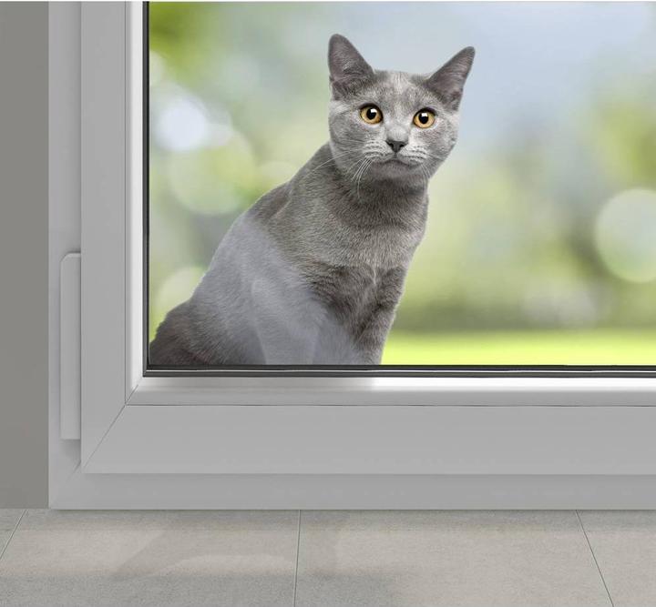 Produktbild Heidemann Funkgong Set HX Pet (Haustierklingel) (Funk 433-Mhz)