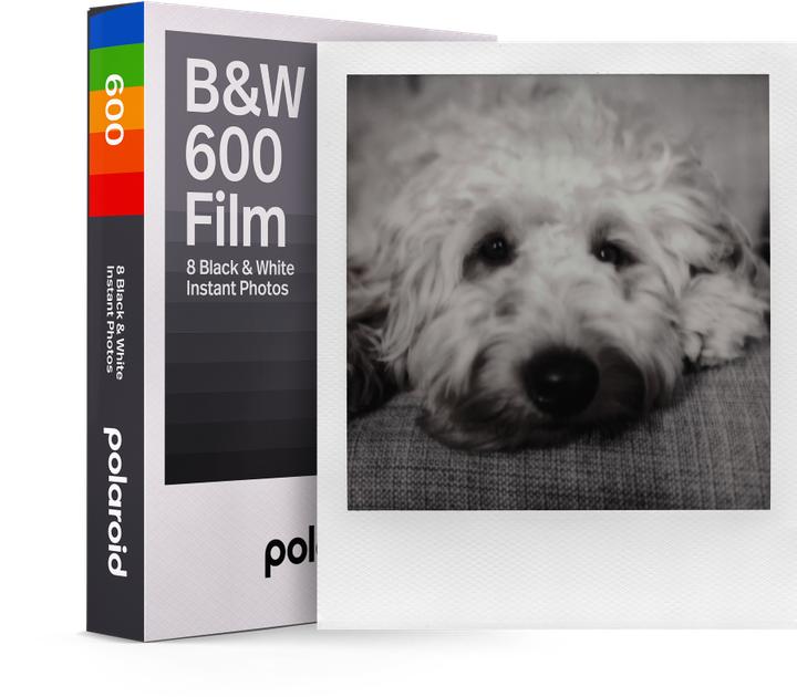 Image du produit Polaroid B&W 600