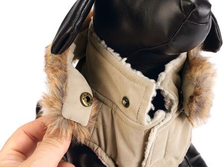 Immagine prodotto Designed by Lotte Cappotto per cani Philos (XXXL, Cappotto per cani)