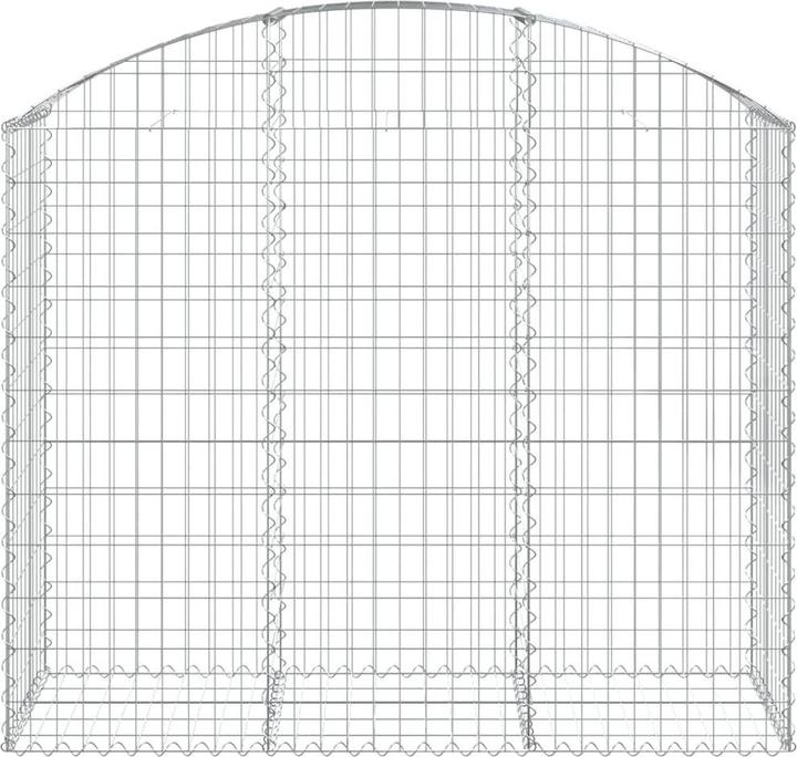 Image du produit vidaXL Gabionenkorb