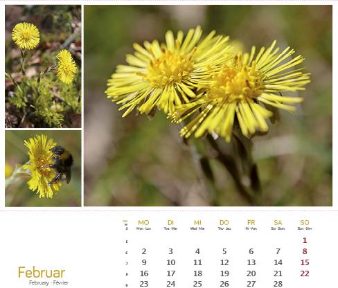 Produktbild HeilpfanzenrundumdenBodensee2026