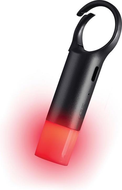 Produktbild Lexon Nomaday Flash (10 cm)