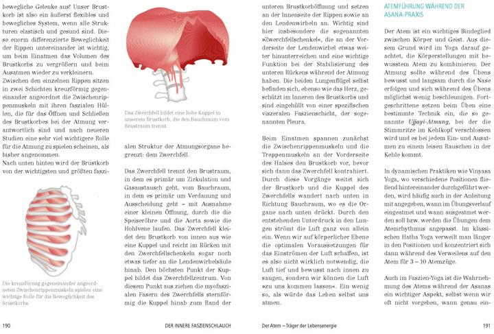 Produktbild Das grosse Faszien-Yoga Buch (Deutsch, Daniela Meinl, 2017)