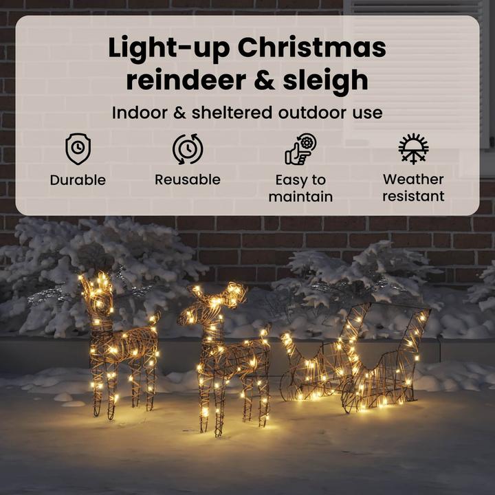 Image du produit vidaXL Weihnachtsdekoration
