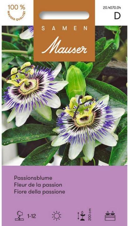 Image du produit Samen Mauser Passiflore (Graines de fleurs)