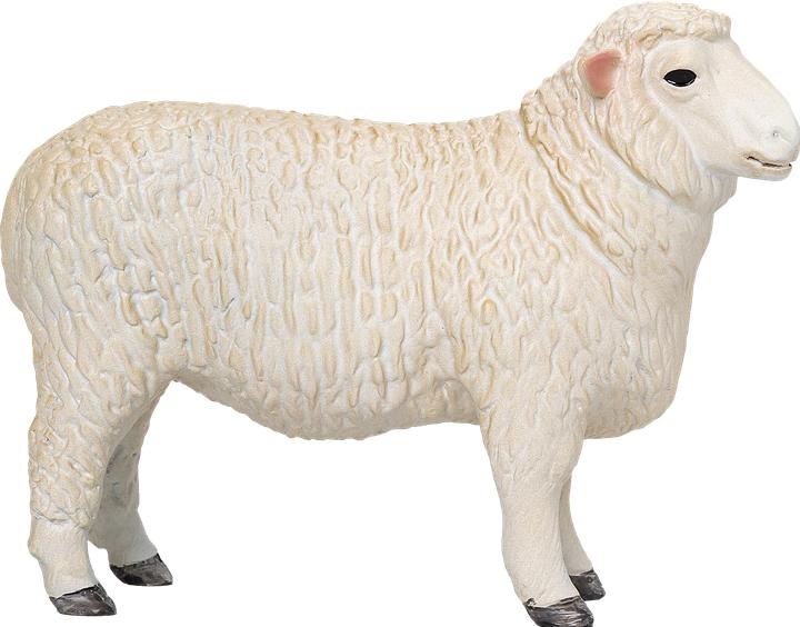Actual product image Mojo Romney rams