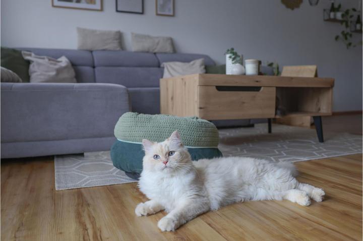 Image du produit Kerbl Lit douillet Anne pour chats (Chat)