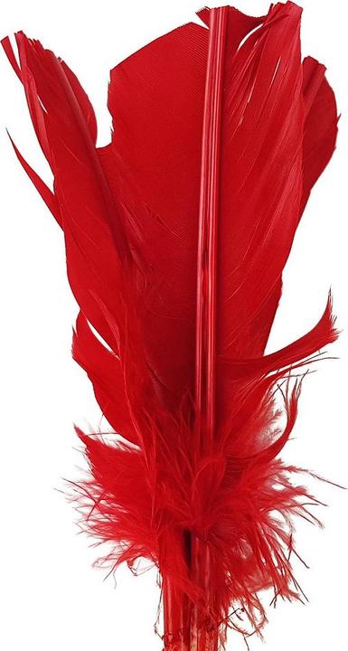 Actual product image Tunturi Indiaca Play