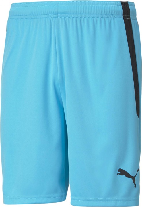 Produktbild Puma teamLIGA Shorts-704924 (48 E)