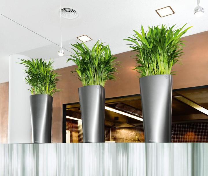 Produktbild Lechuza Delta (29 x 56.50 cm)