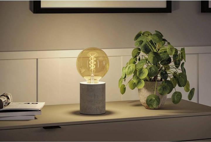 Actual product image Paulmann Rustic Shine Globe (E27, 4.20 W, 300 lm, 1 x)
