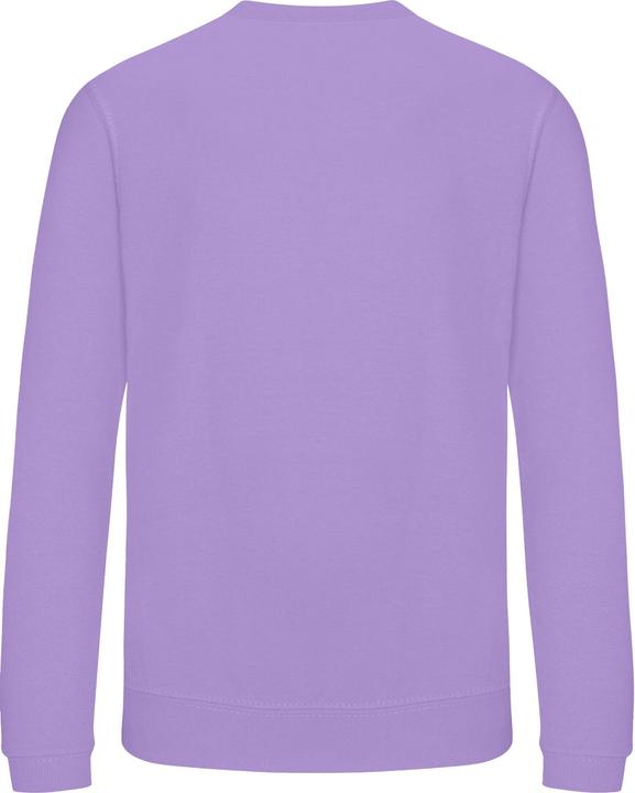 Produktbild Awdis Just Hoods Sweatshirt (152)