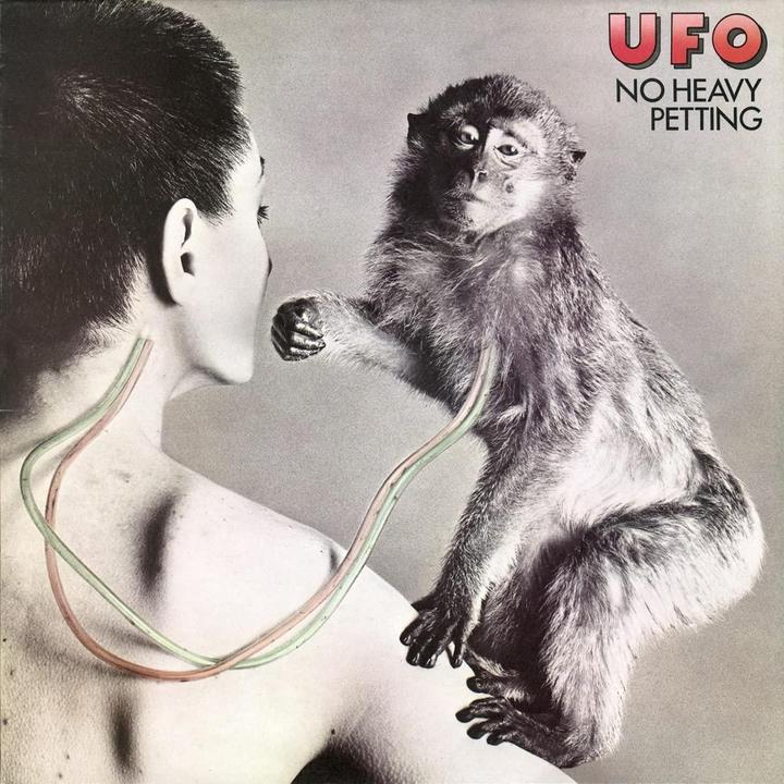 Produktbild No Heavy Petting (UFO)