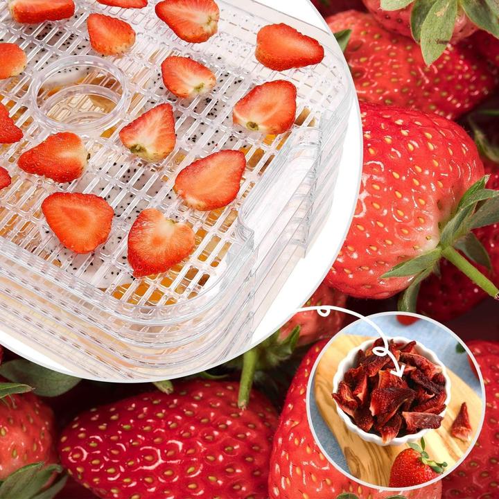 Actual product image Nictemaw 400W Food Dehydrator with Temperature Control, 8 Trays for Fruits, Vegetables, Meat