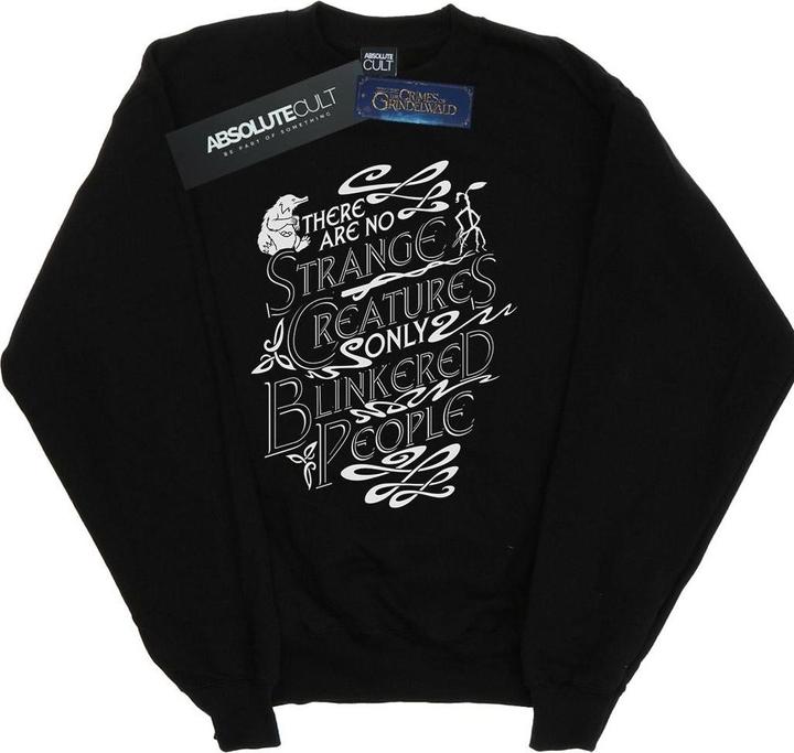 Produktbild Fantastic Beasts Strange Creatures Sweatshirt (L)