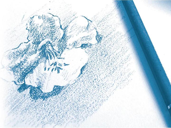 Immagine prodotto Clairefontaine Tecniche a secco