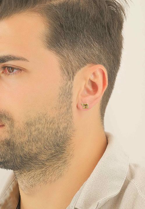 Produktbild Muau Ohrstecker (Gelbgold)