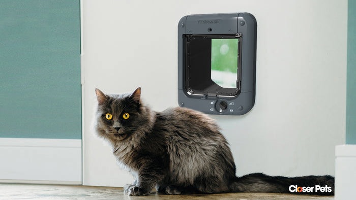 Produktbild Closer Pets Katzenklappe (Manuelle Katzenklappe)