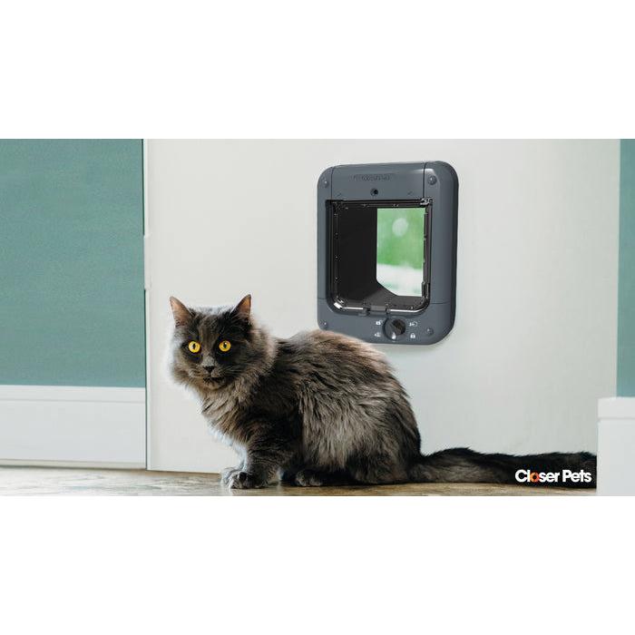 Closer Pets Microchip Cat Dark Grey Cat Flap Closer Pets Cat Flap