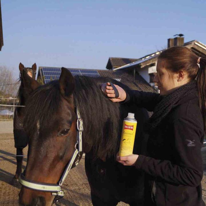 Image du produit Ballistol Animal (Chien, Chat, Rongeur, Cheval, 500 ml)
