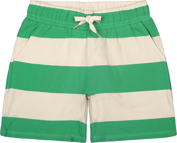 Image du produit The New Shorts (146)