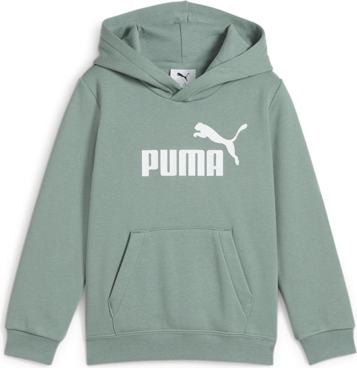 Image du produit Puma Sweat à capuche ESS No. 1 Logo FL PS (116)
